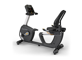 Recumbent Bike